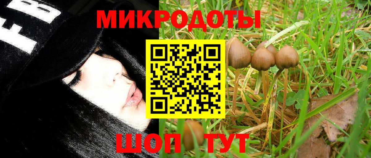 Псилоцибиновые грибы прущие грибы  Псилоцибиновые грибы мухоморы  Вход с VPN  Новочеркасск 
