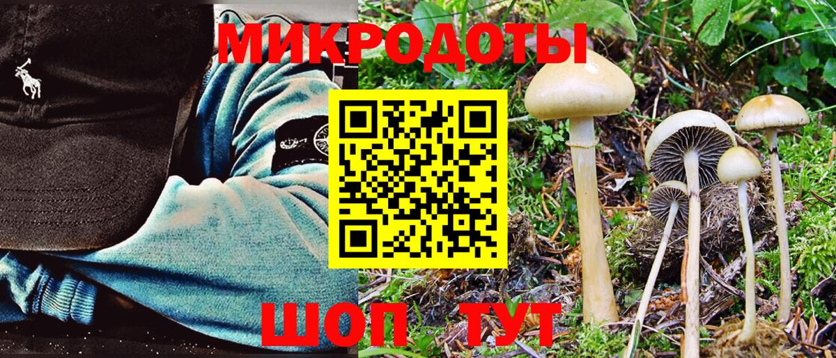 Галлюциногенные грибы GOLDEN TEACHER Новочеркасск